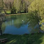Chataignier Mas Du Ponteil *