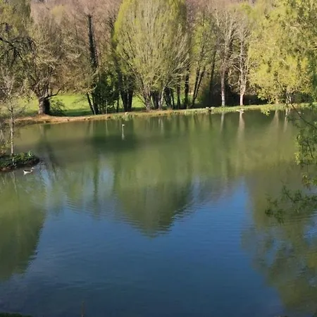 Chataignier Mas Du Ponteil Sergeac