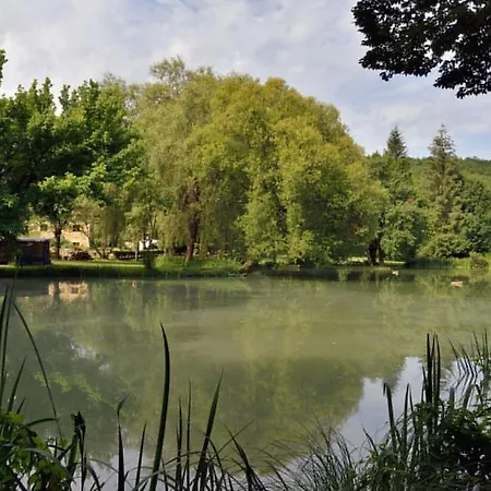 Chataignier Mas Du Ponteil *