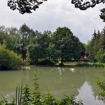 Chataignier Mas Du Ponteil * Sergeac