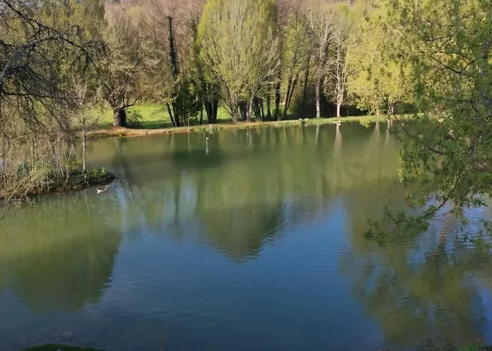 Chataignier Mas Du Ponteil Sergeac