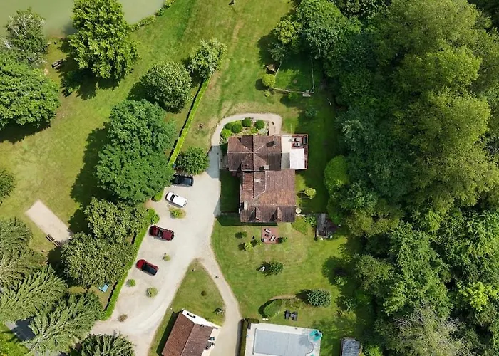 Chataignier Mas Du Ponteil