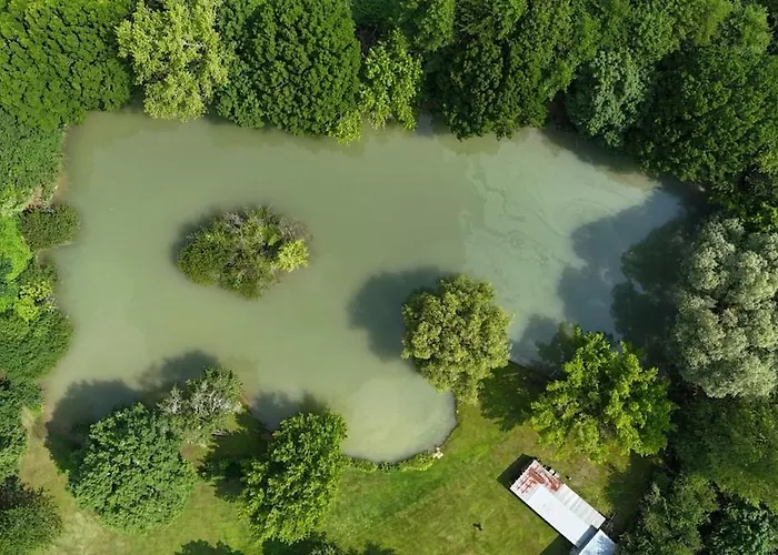 Chataignier Mas Du Ponteil بيت للعطل Sergeac