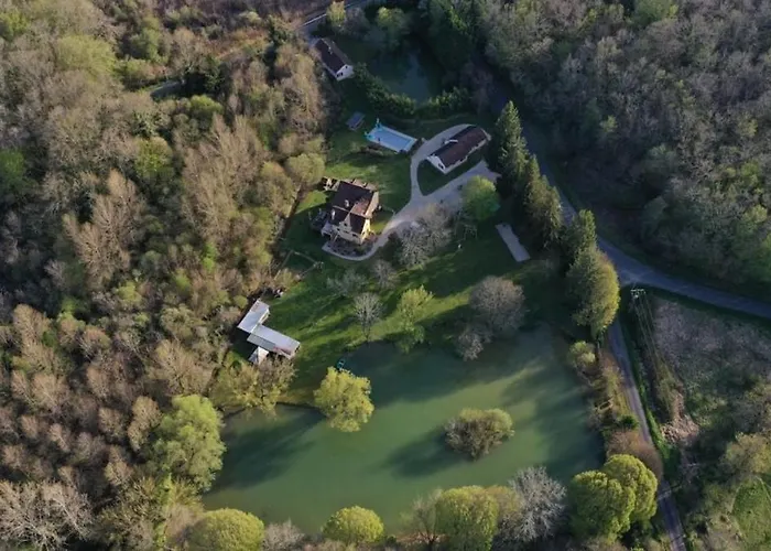 Chataignier Mas Du Ponteil * Sergeac