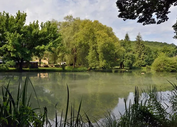 Chataignier Mas Du Ponteil *