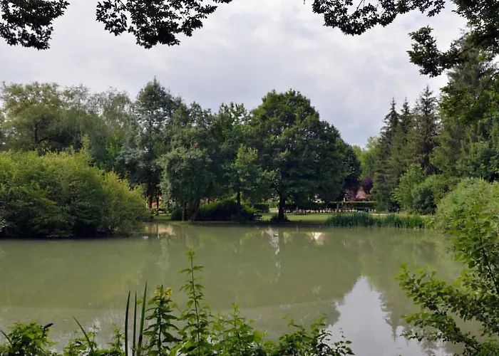 Chataignier Mas Du Ponteil * Sergeac