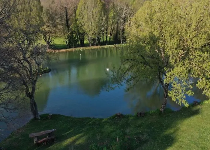 Chataignier Mas Du Ponteil *