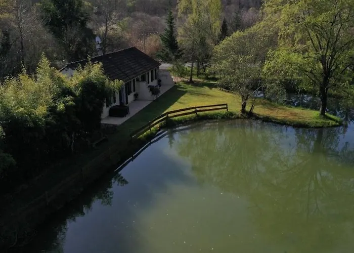 Chataignier Mas Du Ponteil *