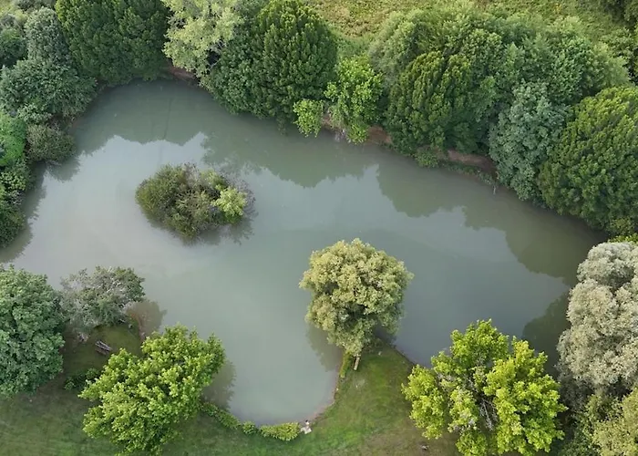 Chataignier Mas Du Ponteil بيت للعطل Sergeac