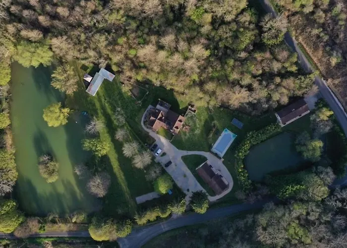 Chataignier Mas Du Ponteil Sergeac